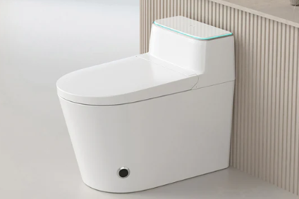 Smart Toilet with Bidet and Heated Seat