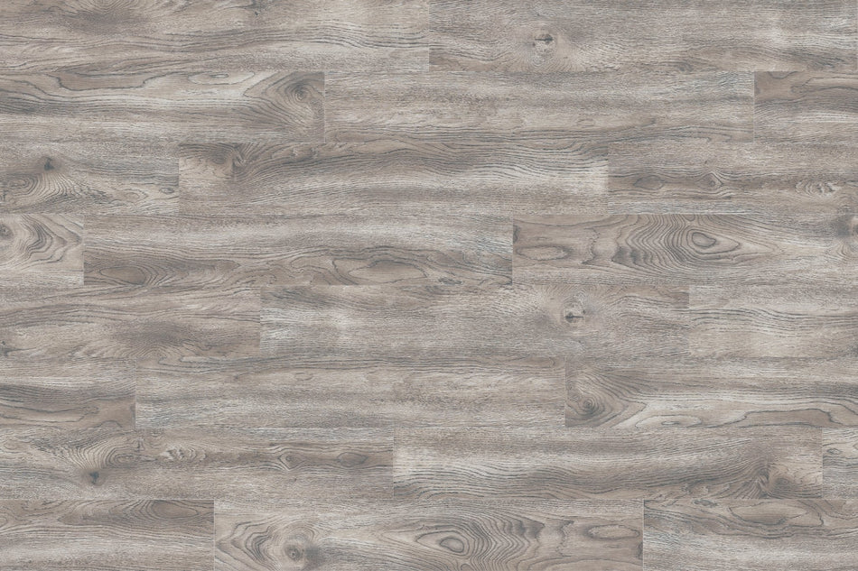Pacific Gray - 801